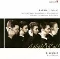 Mini-uwertura - Elbeblech Brass Quintet				

